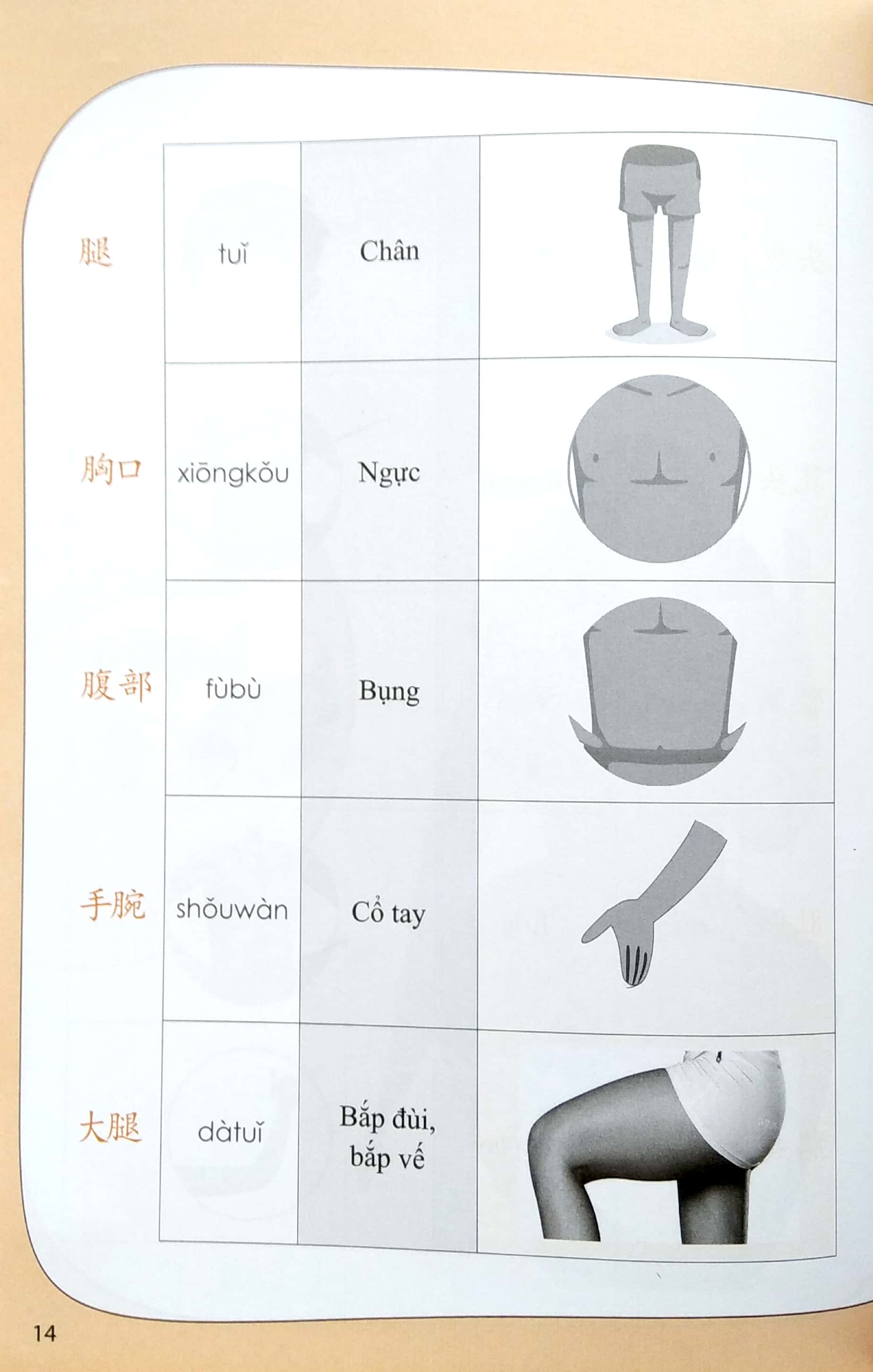 Tự Học Từ Vựng Tiếng Trung Theo Chủ Đề