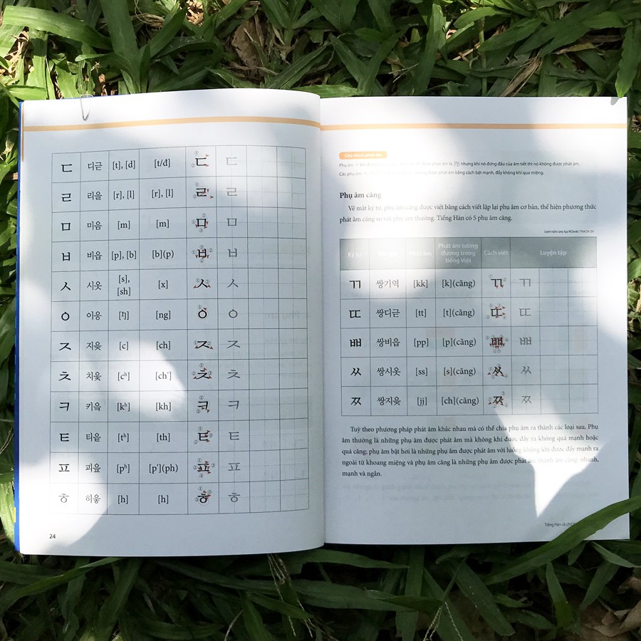 Tiếng Hàn Tổng Hợp Dành Cho Người Việt Nam - Sơ Cấp 1 - Bản Màu