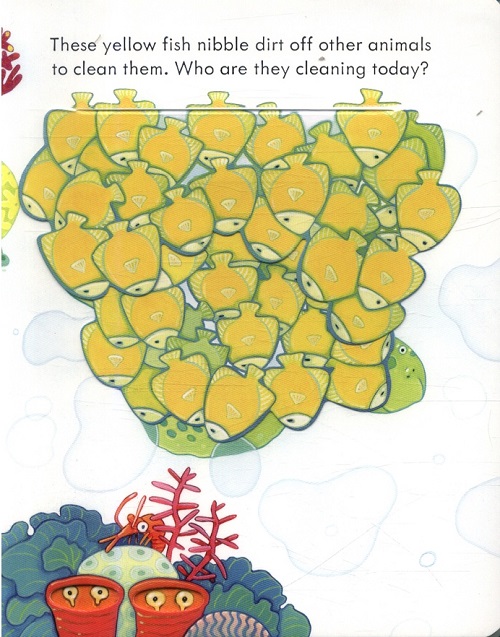 Sách Lật Mở Tiếng Anh Trẻ Em - Peep Inside The Sea