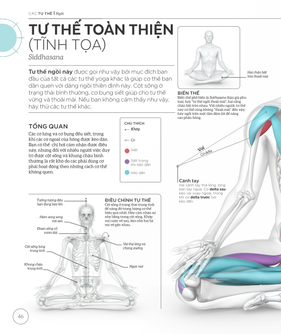 Khoa Học Về Yoga