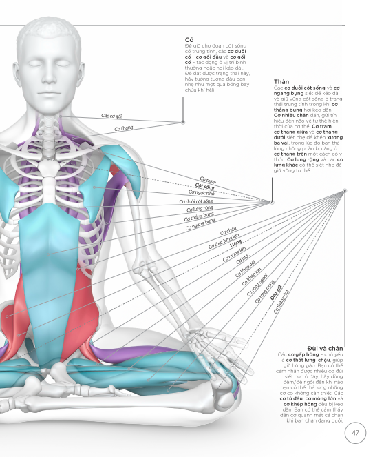 Khoa Học Về Yoga