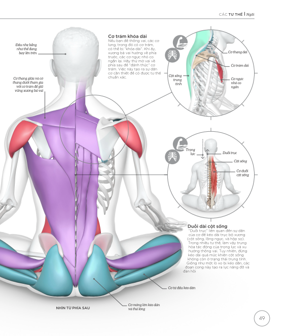 Khoa Học Về Yoga