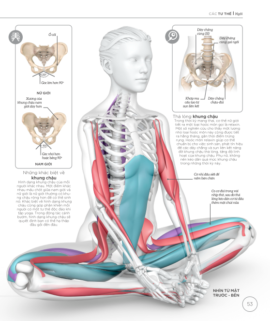 Khoa Học Về Yoga