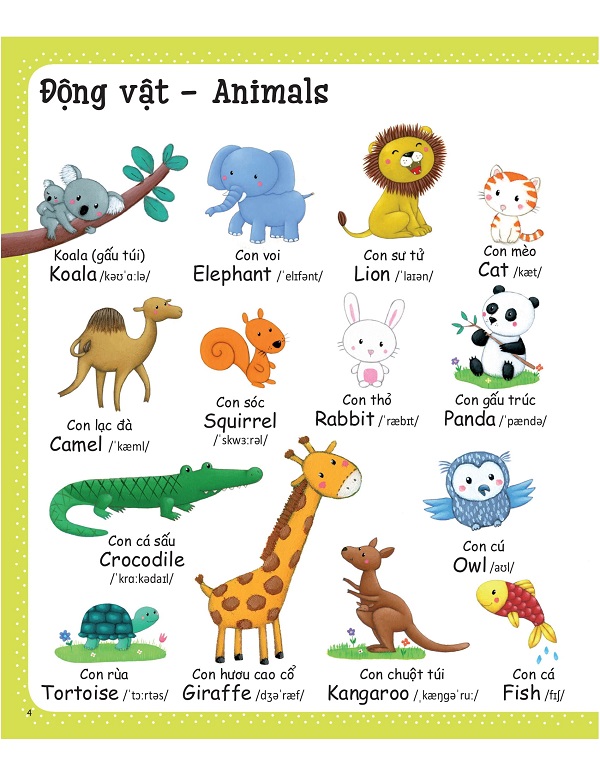 Combo Cuốn Sách Từ Vựng Đầu Tiên Của Tôi - My First Word Book (Bộ 6 Cuốn)