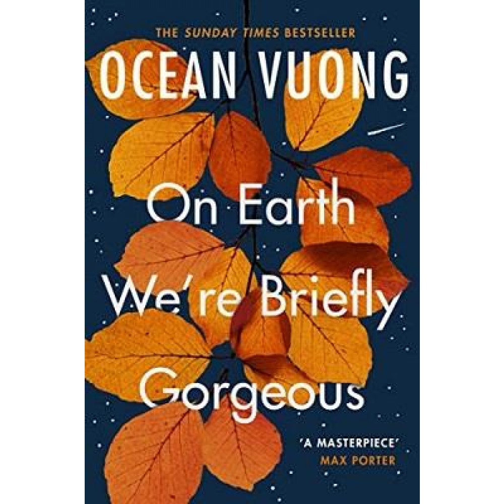 Tiểu Thuyết Tiếng Anh - On Earth We're Briefly Gorgeous