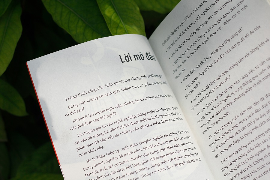 Từ Tối Giản Đến Tối Cao